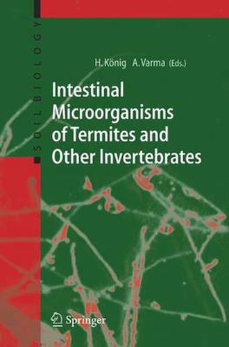 Cover image for Intestinal Microorganisms of Termites and Other Invertebrates