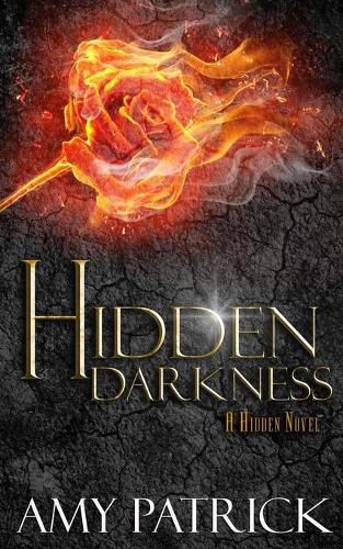 Cover image for Hidden Darkness, Book 4 of the Hidden Saga