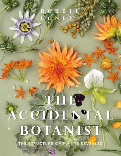 Cover image for Accidental Botanist: The Structure of Plants Revealed