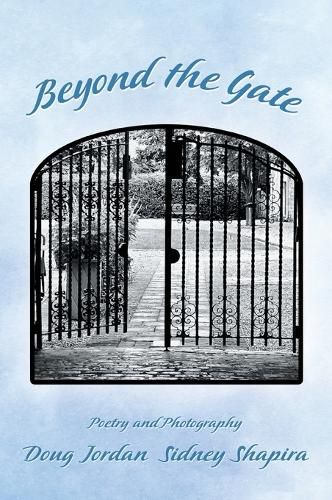 Cover image for Beyond the Gate