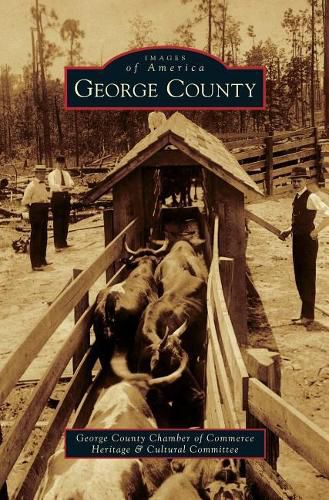 Cover image for George County