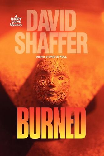 Cover image for Burned