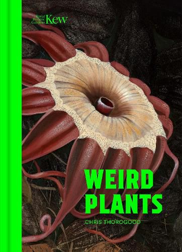 Cover image for Weird Plants