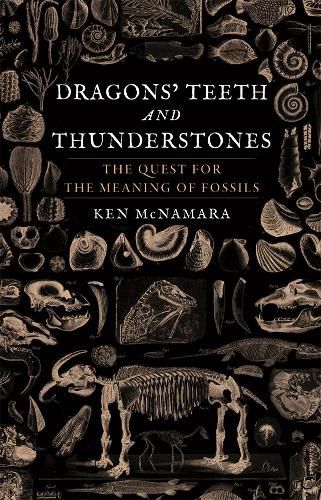 Cover image for Dragons' Teeth and Thunderstones: The Quest for the Meaning of Fossils