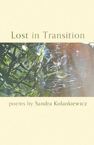 Cover image for Lost in Transition