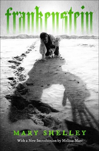 Cover image for Frankenstein