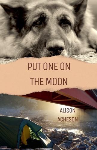 Cover image for Put One On the Moon