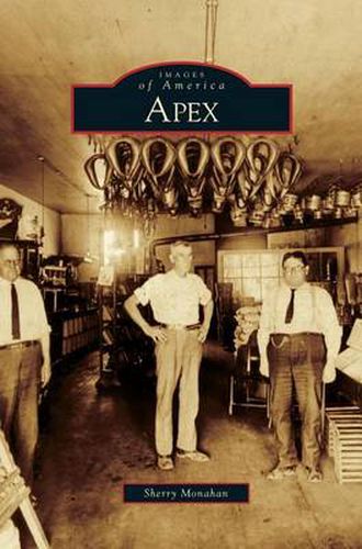 Cover image for Apex