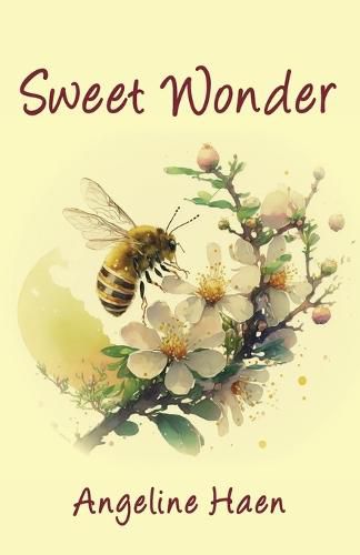 Cover image for Sweet Wonder