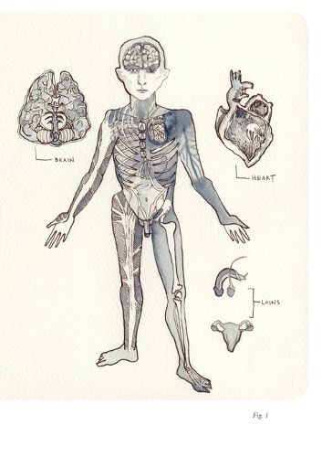 Cover image for A Poetics of the Naughty