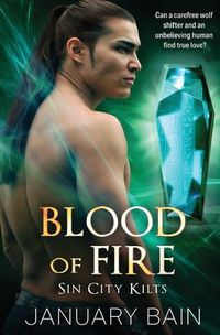 Cover image for Blood of Fire