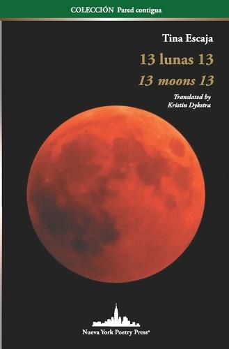 Cover image for 13 Lunas 13