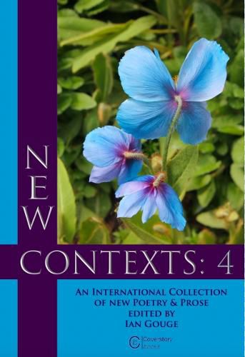 Cover image for New Contexts: 4