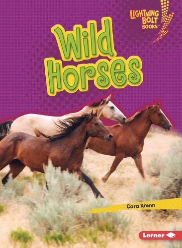 Cover image for Wild Horses