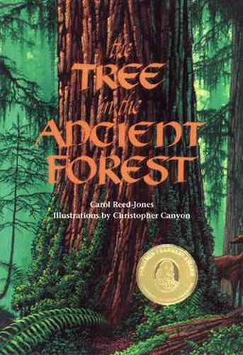 Cover image for The Tree in the Ancient Forest