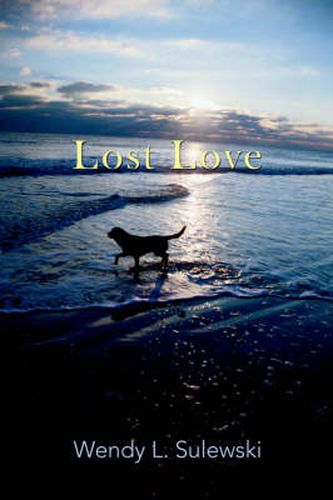 Cover image for Lost Love