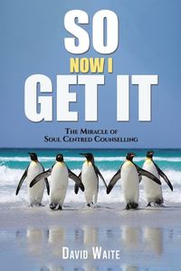 Cover image for So Now I Get It