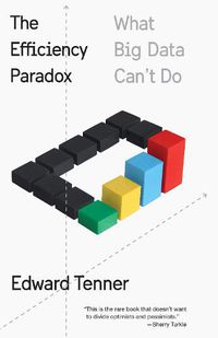 Cover image for The Efficiency Paradox: What Big Data Can't Do