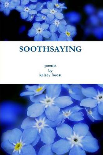 Cover image for Soothsaying