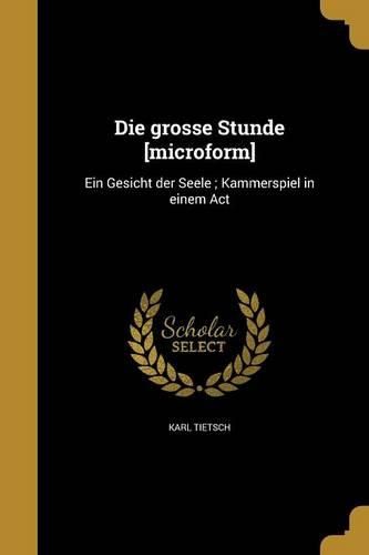 Cover image for Die grosse Stunde [microform]