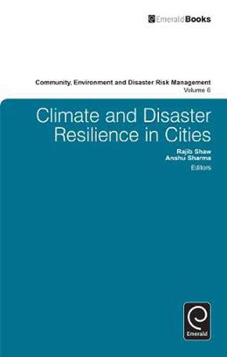 Cover image for Climate and Disaster Resilience in Cities