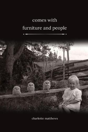 Cover image for Comes With Furniture and People