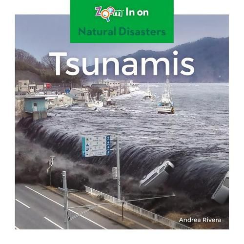 Cover image for Tsunamis