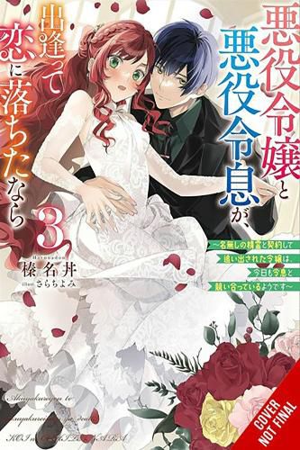 If the Villainess and Villain Met and Fell in Love, Vol. 3 (light novel)