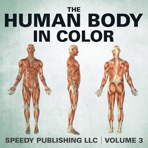 The Human Body In Color Volume 3