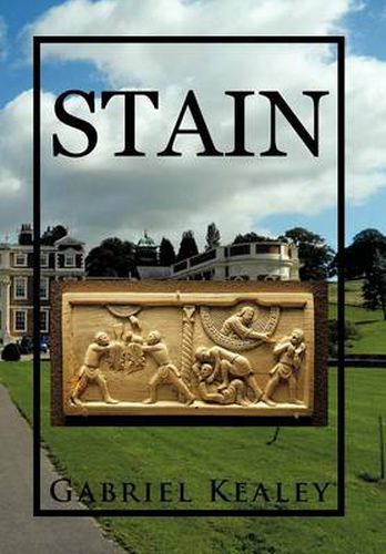 Cover image for Stain