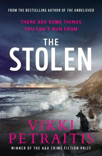 Cover image for The Stolen