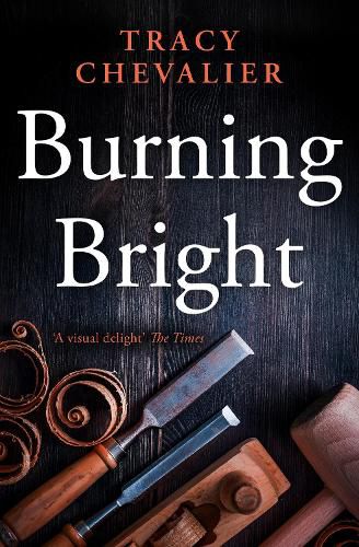 Cover image for Burning Bright