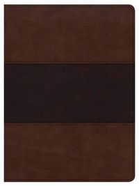 Cover image for CSB Apologetics Study Bible, Mahogany LeatherTouch, Indexed