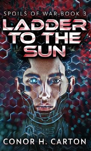 Cover image for Ladder To The Sun