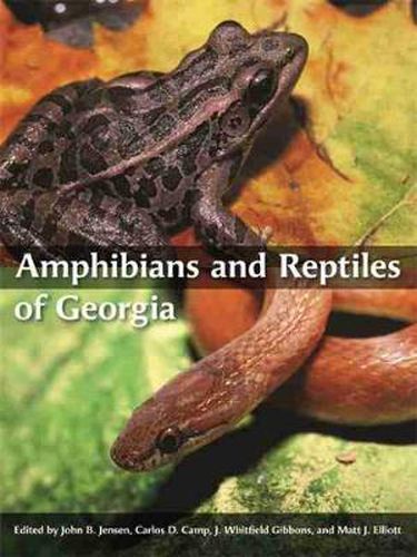 Cover image for Amphibians and Reptiles of Georgia