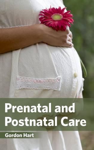 Cover image for Prenatal and Postnatal Care