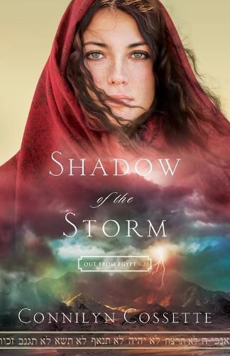 Cover image for Shadow of the Storm