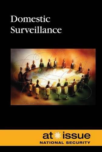 Cover image for Domestic Surveillance