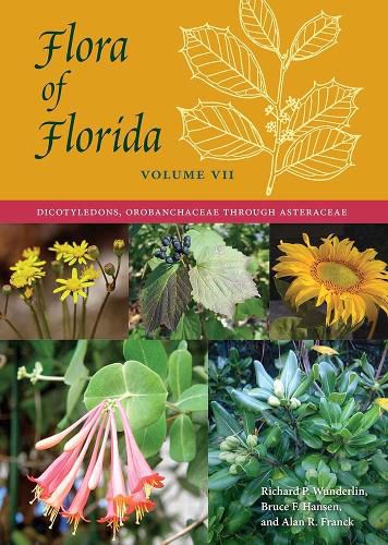 Cover image for Flora of Florida, Volume VII: Dicotyledons, Orobanchaceae through Asteraceae