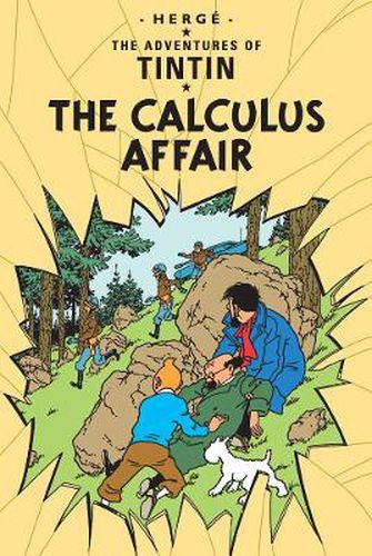 Cover image for The Calculus Affair