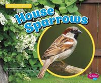 Cover image for House Sparrows