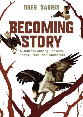 Cover image for Becoming Story: A Journey among Seasons, Places, Trees, and Ancestors