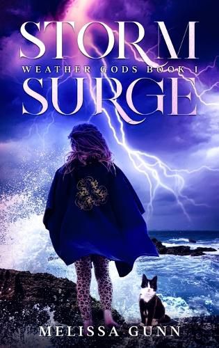 Cover image for Storm Surge