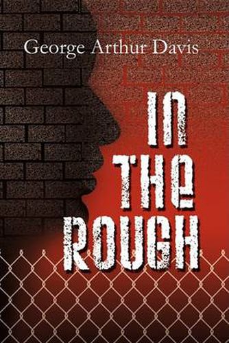 Cover image for In the Rough