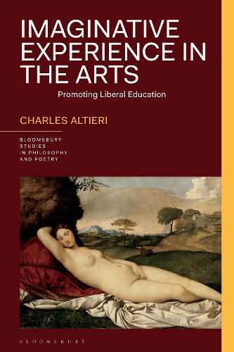 Cover image for Imaginative Experience in the Arts