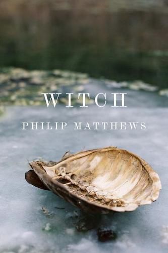 Cover image for Witch
