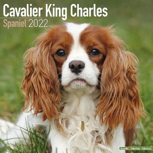 Cover image for Cavalier King Charles Spaniel 2022 Wall Calendar