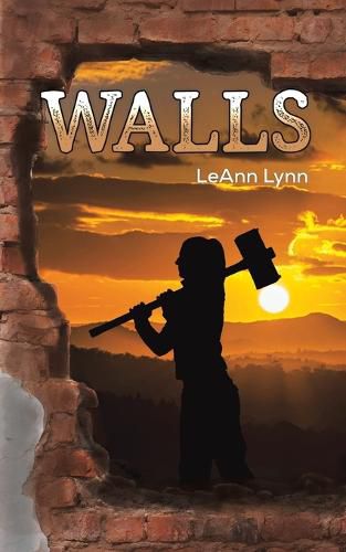 Cover image for Walls