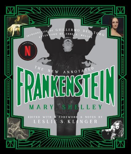 Cover image for The New Annotated Frankenstein