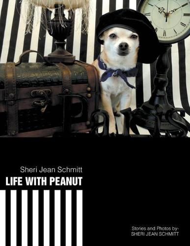 Cover image for Life with Peanut